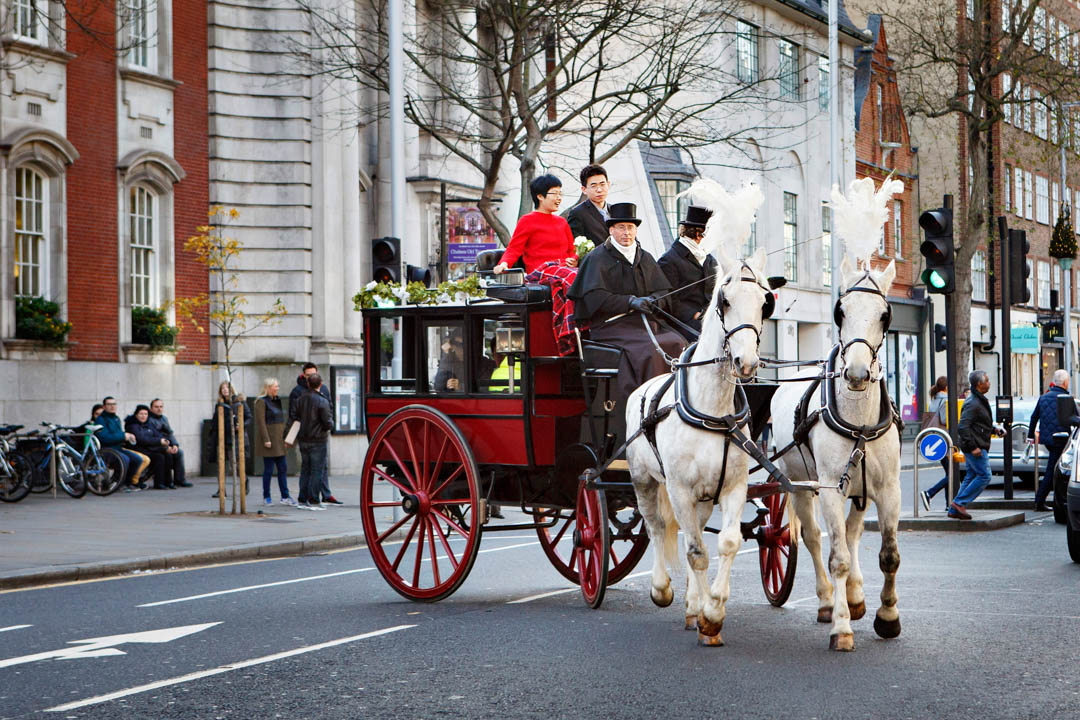 A bride and groom leave Chelsea Old Town Hall in a horse-drawn carriage after their Rossetti Room wedding. The white horses have plumes of white feathers on the tops of their heads and the carriage is deep red.
